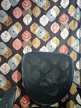 telugu pellam online show from 02/28/26, 09:21