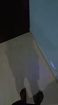 Lavanyaatelugu online show from 11/14/25, 01:21