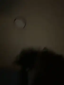 Snapshot of bunbun420247 chatting on 12/05/25, 11:30 bunbun420247 online show from 12/05/25, 11:30