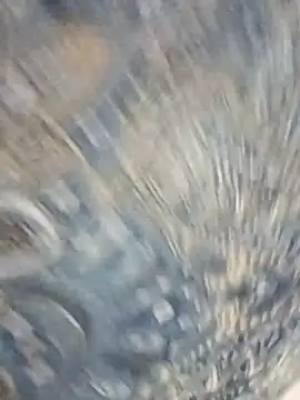 Snapshot of HAANNIAA chatting on 12/02/25, 11:04 HAANNIAA online show from 12/02/25, 11:04