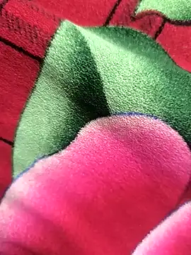 Family02 online show from 11/26/25, 04:41