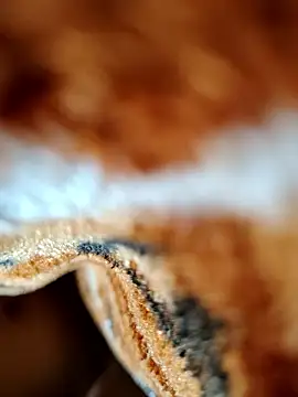 Hot lali 555 online show from 01/07/26, 02:41