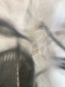 Adele Pinkk online show from 10/17/25, 01:14