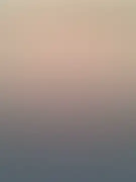 Adele Pinkk online show from 11/20/25, 12:16