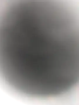 Snapshot of Necroforo chatting on 02/14/26, 08:49 Necroforo online show from 02/14/26, 08:49