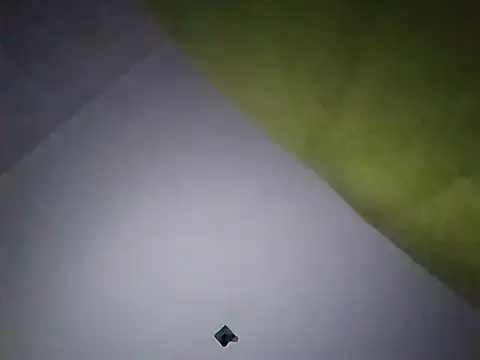 Snapshot of Ladyetcetera chatting on 09/30/25, 03:55 Ladyetcetera online show from 09/30/25, 03:55