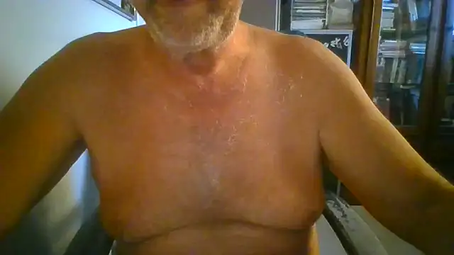 Snapshot of hpp66 chatting on 06/16/26, 04:37 hpp66 online show from 06/16/26, 04:37