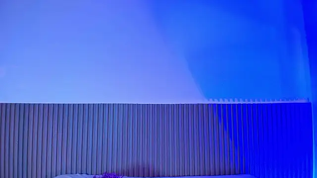 Alana 333 online show from 02/17/26, 11:18