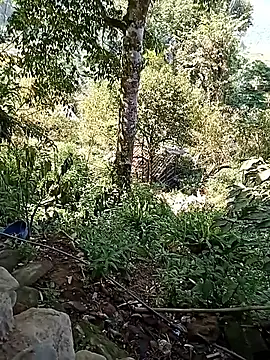 xinhxinhcute online show from 09/17/25, 07:54