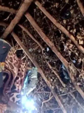 Hot rachnasexy online show from 03/09/26, 05:55