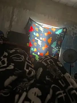 Snapshot of FromVnz chatting on 11/15/25, 12:45 FromVnz online show from 11/15/25, 12:45