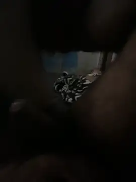 Snapshot of FromVnz chatting on 11/21/25, 12:37 FromVnz online show from 11/21/25, 12:37