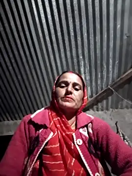 Jalebi bay online show from 11/11/25, 12:38