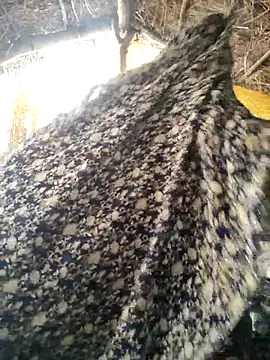 LUCKY cut online show from 10/20/25, 03:07