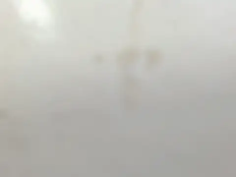 Penelopee Rouse online show from 10/20/25, 07:25