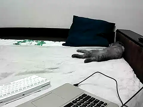 black lany online show from 09/22/25, 02:41