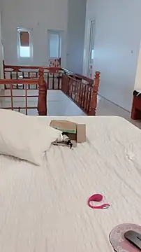 JunCii online show from 10/31/25, 02:56