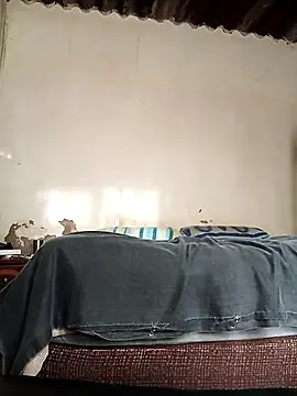 average price online show from 10/08/25, 04:21