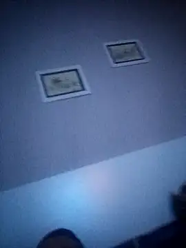 NiceBadgera online show from 09/21/25, 01:18