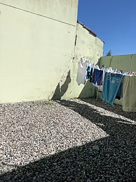 cat9269 online show from 11/11/25, 05:57