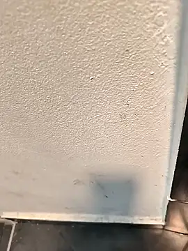 Snapshot of penchis90 chatting on 12/14/25, 02:22 penchis90 online show from 12/14/25, 02:22