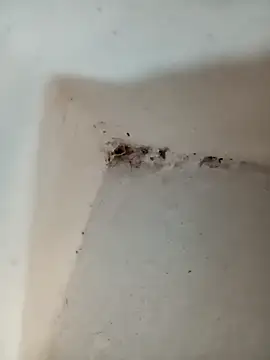 Snapshot of Punam_jindal chatting on 10/07/25, 06:10 Punam jindal online show from 10/07/25, 06:10