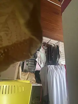 XBODTRIIPX online show from 03/07/26, 08:50