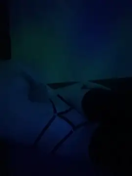 Snapshot of gjollyros chatting on 02/18/26, 08:16 gjollyros online show from 02/18/26, 08:16