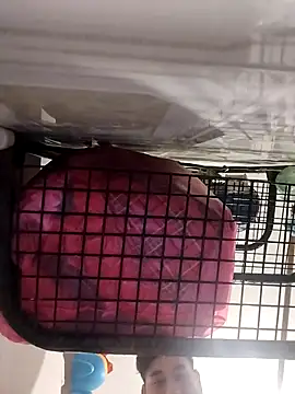 Ferxxxo1503 online show from 11/05/25, 06:24