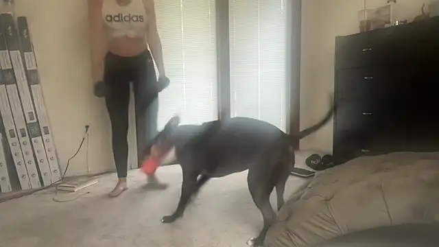 NurseStephania online show from 11/13/25, 07:46