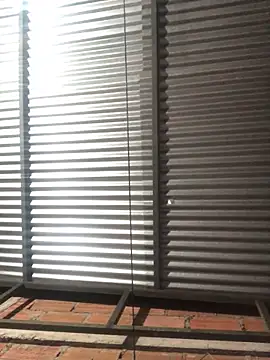 elpeluchenegroxxx3 online show from 02/13/26, 03:13