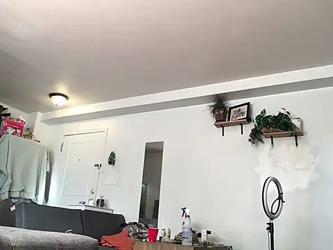 littyleesh1 online show from 01/13/26, 04:01