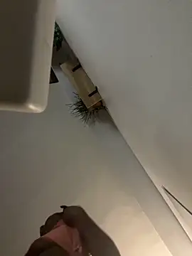 littyleesh1 online show from 04/14/26, 04:29