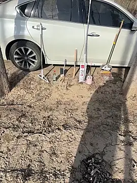 Fengbaby-555 online show from 02/03/26, 06:22