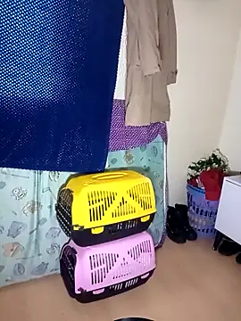 kittymutant99 online show from 12/22/25, 08:39