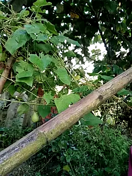 kemtuoi-sex online show from 10/04/25, 11:58