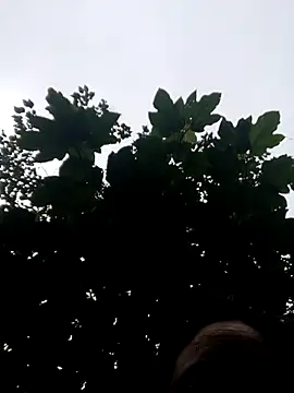 kemtuoi-sex online show from 10/19/25, 11:05