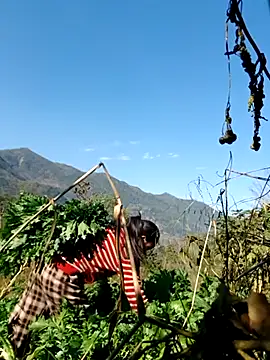 kemtuoi-sex online show from 02/05/26, 08:08