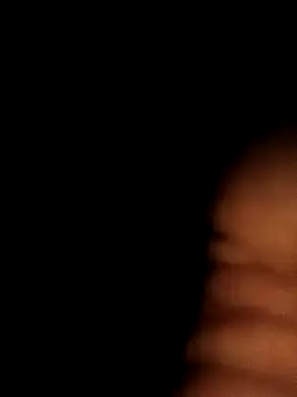 Freedomvim online show from 10/16/25, 04:13