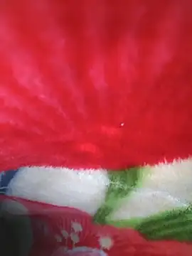 Chanderi19 online show from 04/23/26, 11:40