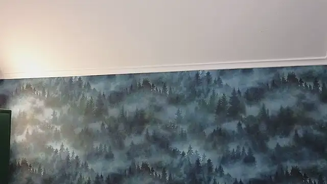 MarkShot  online show from 11/11/25, 08:31