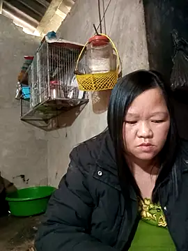 riso-00 online show from 01/09/26, 06:49