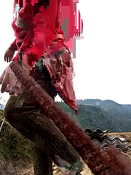 Snapshot of SSexykute3456 chatting on 11/24/25, 01:49 SSexykute3456 online show from 11/24/25, 01:49