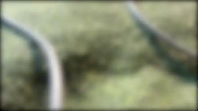 AzureEyes online show from 02/24/26, 02:37