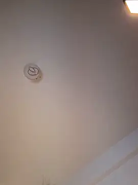 Andrestarr online show from 03/11/26, 06:47