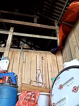 bonnie-00 online show from 02/15/26, 08:24