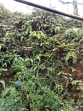 bonnie-00 online show from 04/19/26, 11:07