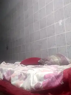 Cachorrinha2025 online show from 10/24/25, 03:14