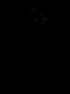 UnhopedDear online show from 03/25/26, 07:20