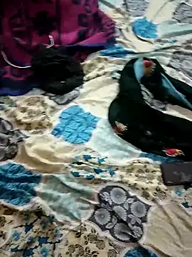 monarani5986 online show from 11/20/25, 06:29